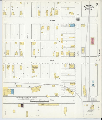 Sanborn Fire Insurance Map from Pellston, Emmet County, Michigan (1917), Sheet #0002 - Historic Sanborn Fire Insurance Map Print, vintage old map wall art, antique decor, genealogy gift, Michigan Michigan map