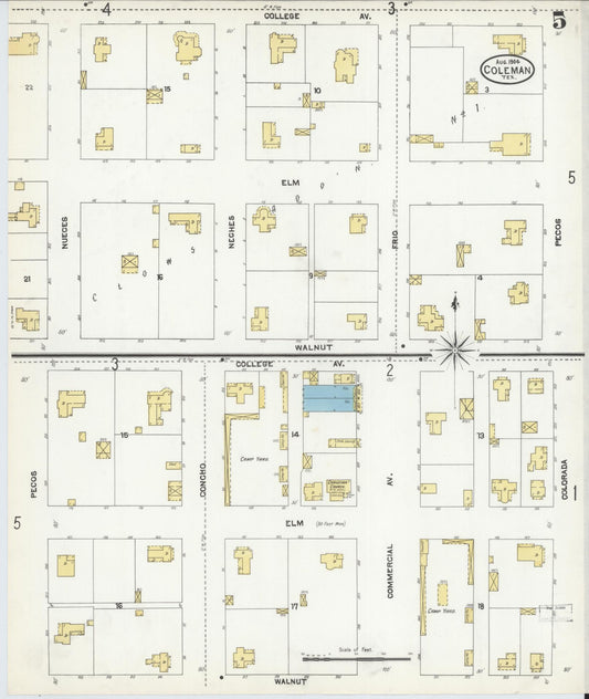 Sanborn Fire Insurance Map from Coleman, Coleman County, Texas (1904), Sheet #0005 - Historic Sanborn Fire Insurance Map Print, vintage old map wall art, antique decor, genealogy gift, Texas Texas map