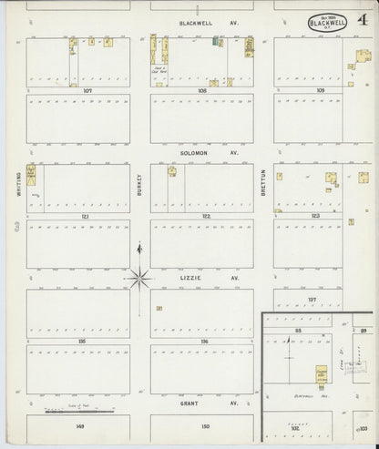 Sanborn Fire Insurance Map from Blackwell, Kay County, Oklahoma (1895), Sheet #0004 - Complete Map Set gallery image, historic Sanborn map, vintage wall art, Oklahoma Oklahoma