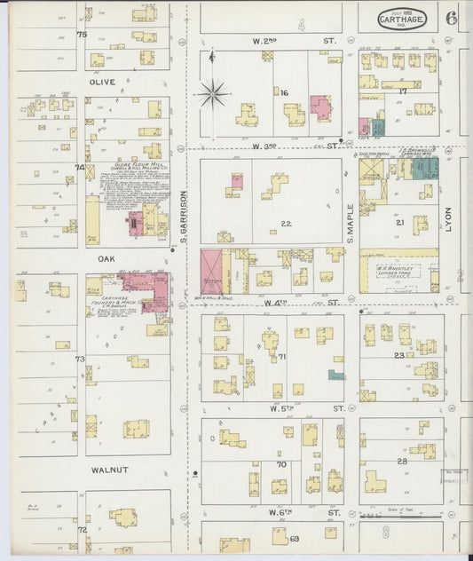 Sanborn Fire Insurance Map from Carthage, Jasper County, Missouri (1893), Sheet #0006 - Historic Sanborn Fire Insurance Map Print, vintage old map wall art, antique decor, genealogy gift, Missouri Missouri map