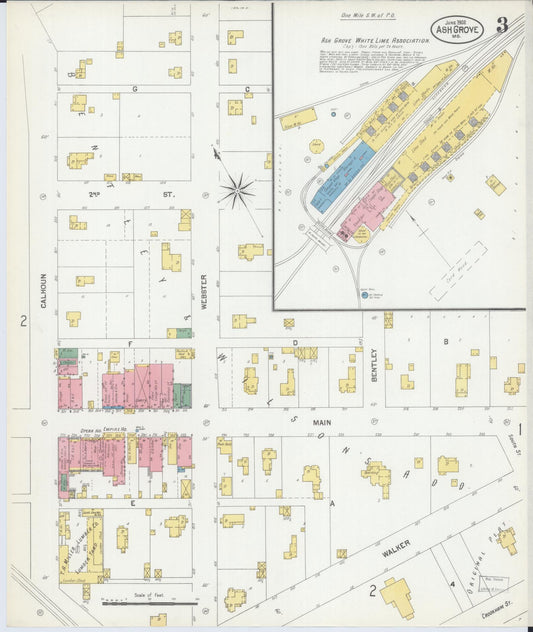 Sanborn Fire Insurance Map from Ash Grove, Greene County, Missouri (1902), Sheet #0003 - Historic Sanborn Fire Insurance Map Print, vintage old map wall art, antique decor, genealogy gift, Missouri Missouri map