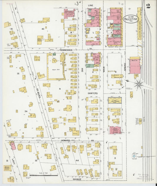 Sanborn Fire Insurance Map from Palestine, Anderson County, Texas (1900), Sheet #0002 - Historic Sanborn Fire Insurance Map Print, vintage old map wall art, antique decor, genealogy gift, Texas Texas map