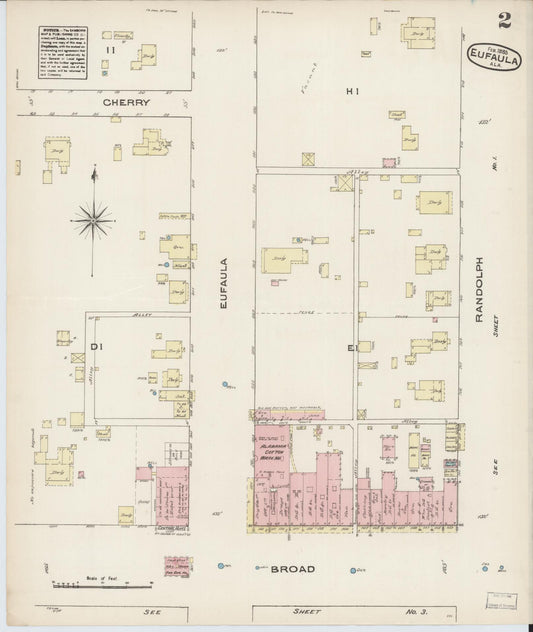 Sanborn Fire Insurance Map from Eufaula, Barbour County, Alabama (1885), Sheet #0002 - Historic Sanborn Fire Insurance Map Print, vintage old map wall art, antique decor, genealogy gift, Alabama Alabama map