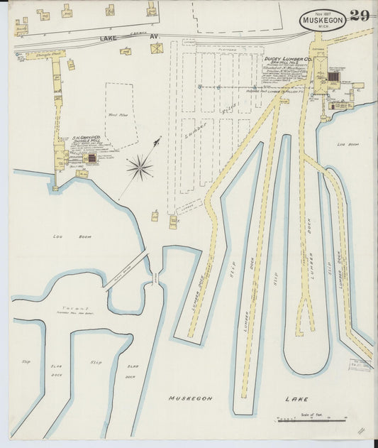 Sanborn Fire Insurance Map from Muskegon, Muskegon County, Michigan (1887), Sheet #0029 - Historic Sanborn Fire Insurance Map Print, vintage old map wall art, antique decor, genealogy gift, Michigan Michigan map