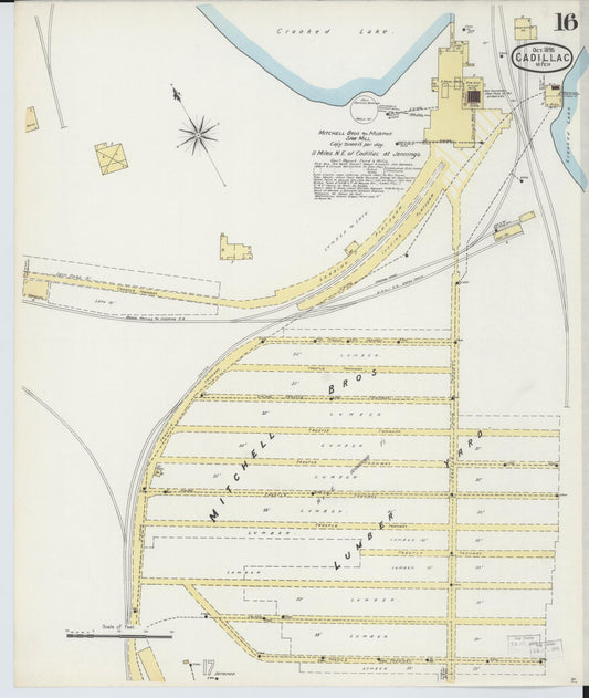 Sanborn Fire Insurance Map from Cadillac, Wexford County, Michigan (1895), Sheet #0016 - Historic Sanborn Fire Insurance Map Print, vintage old map wall art, antique decor, genealogy gift, Michigan Michigan map