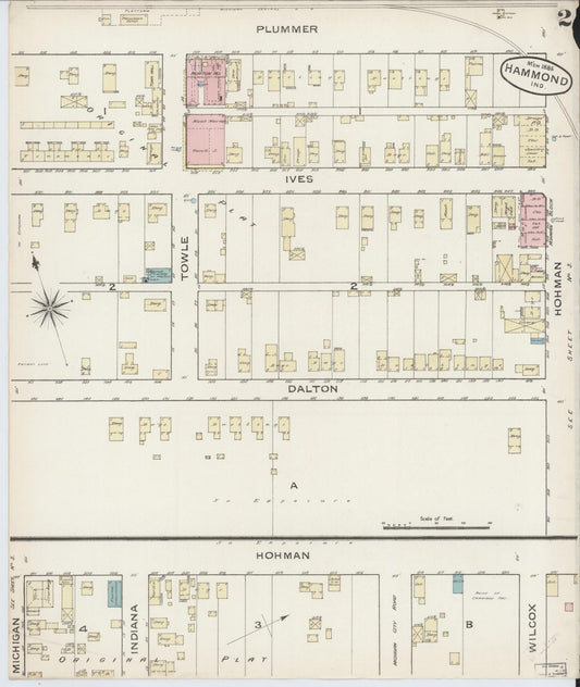 Sanborn Fire Insurance Map from Hammond, Lake County, Indiana (1886), Sheet #0002 - Historic Sanborn Fire Insurance Map Print, vintage old map wall art, antique decor, genealogy gift, Indiana Indiana map