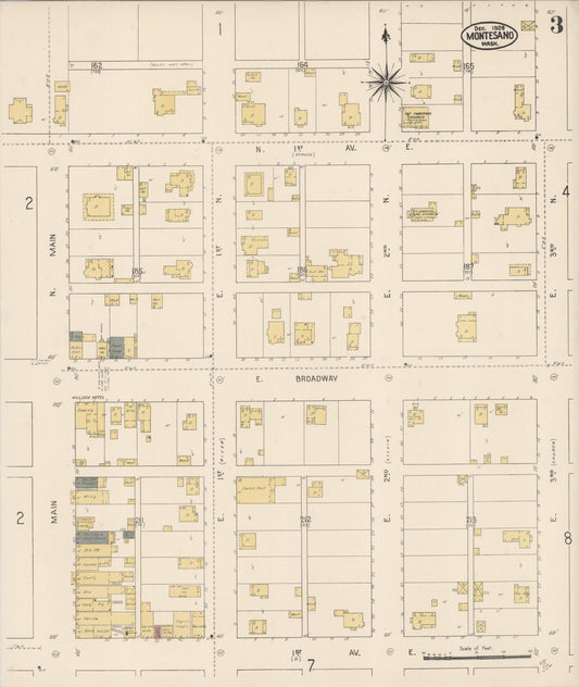 Sanborn Fire Insurance Map from Montesano, Grays Harbor County, Washington (1909), Sheet #0003 - Historic Sanborn Fire Insurance Map Print, vintage old map wall art, antique decor, genealogy gift, Washington Washington map