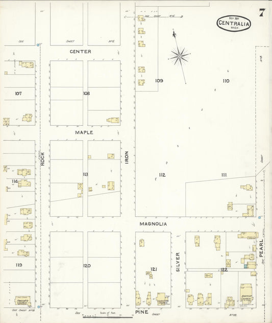 Sanborn Fire Insurance Map from Centralia, Lewis County, Washington (1891), Sheet #0007 - Historic Sanborn Fire Insurance Map Print, vintage old map wall art, antique decor, genealogy gift, Washington Washington map