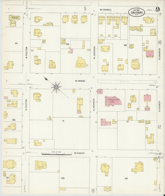Sanborn Fire Insurance Map from Salisbury, Rowan County, North Carolina (1907), Sheet #0009 - Historic Sanborn Fire Insurance Map Print, vintage old map wall art, antique decor, genealogy gift, North Carolina North Carolina map