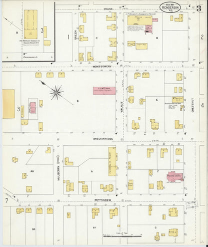 Sanborn Fire Insurance Map from Henderson, Vance County, North Carolina (1907), Sheet #0003 - Complete Map Set gallery image, historic Sanborn map, vintage wall art, North Carolina North Carolina