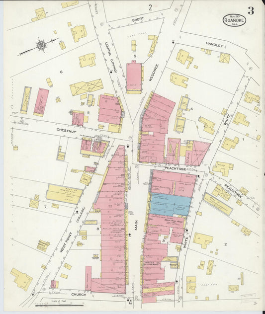 Sanborn Fire Insurance Map from Roanoke, Randolph County, Alabama (1913), Sheet #0003 - Historic Sanborn Fire Insurance Map Print, vintage old map wall art, antique decor, genealogy gift, Alabama Alabama map