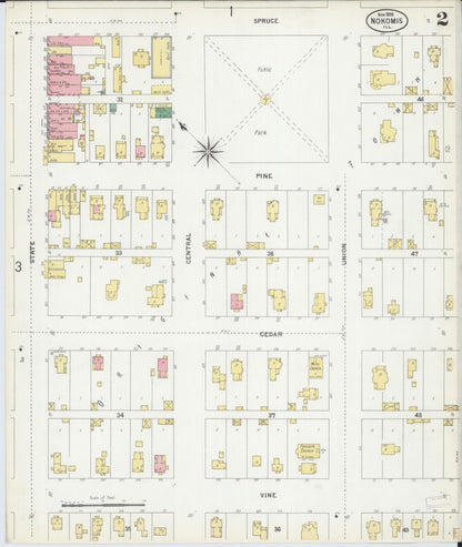 Sanborn Fire Insurance Map from Nokomis, Montgomery County, Illinois (1899), Sheet #0002 - Historic Sanborn Fire Insurance Map Print, vintage old map wall art, antique decor, genealogy gift, Illinois Illinois map