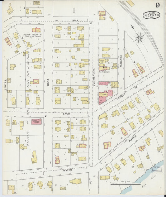 Sanborn Fire Insurance Map from Neenah, Winnebago County, Wisconsin (1895), Sheet #0009 - Historic Sanborn Fire Insurance Map Print, vintage old map wall art, antique decor, genealogy gift, Wisconsin Wisconsin map