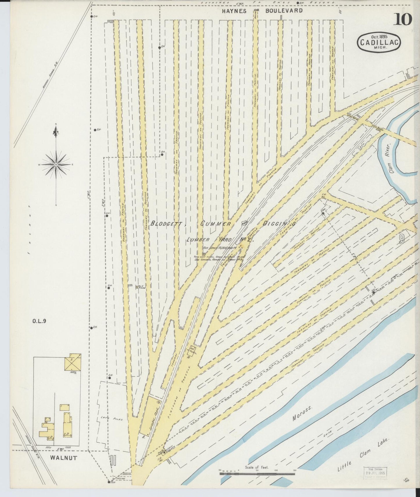 Sanborn Fire Insurance Map from Cadillac, Wexford County, Michigan (1895), Sheet #0010 - Historic Sanborn Fire Insurance Map Print, vintage old map wall art, antique decor, genealogy gift, Michigan Michigan map