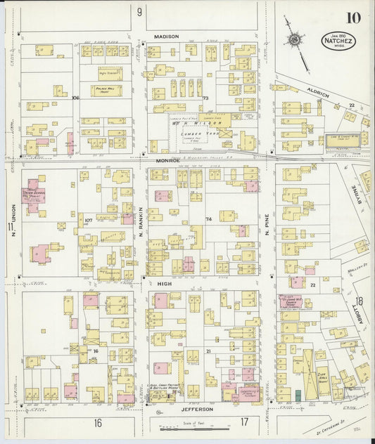 Sanborn Fire Insurance Map from Natchez, Adams County, Mississippi (1910), Sheet #0010 - Historic Sanborn Fire Insurance Map Print, vintage old map wall art, antique decor, genealogy gift, Mississippi Mississippi map