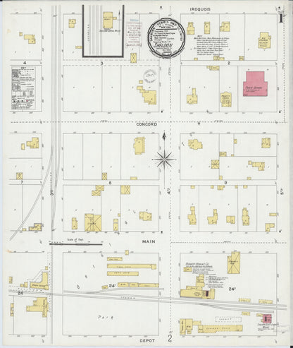 Sanborn Fire Insurance Map from Sheldon, Iroquois County, Illinois (1900), Sheet #0001 - Complete Map Set gallery image, historic Sanborn map, vintage wall art, Illinois Illinois
