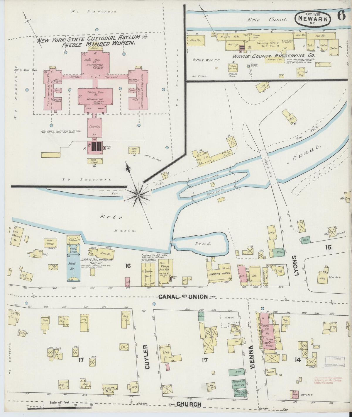 Sanborn Fire Insurance Map from Newark, Wayne County, New York (1890), Sheet #0006 - Historic Sanborn Fire Insurance Map Print, vintage old map wall art, antique decor, genealogy gift, New York New York map