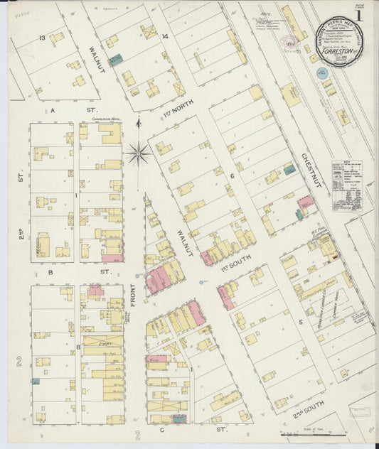Sanborn Fire Insurance Map from Forreston, Ogle County, Illinois (1893), Sheet #0001 - Historic Sanborn Fire Insurance Map Print, vintage old map wall art, antique decor, genealogy gift, Illinois Illinois map