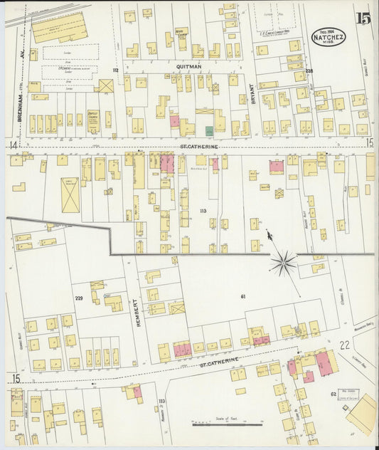 Sanborn Fire Insurance Map from Natchez, Adams County, Mississippi (1904), Sheet #0015 - Historic Sanborn Fire Insurance Map Print, vintage old map wall art, antique decor, genealogy gift, Mississippi Mississippi map