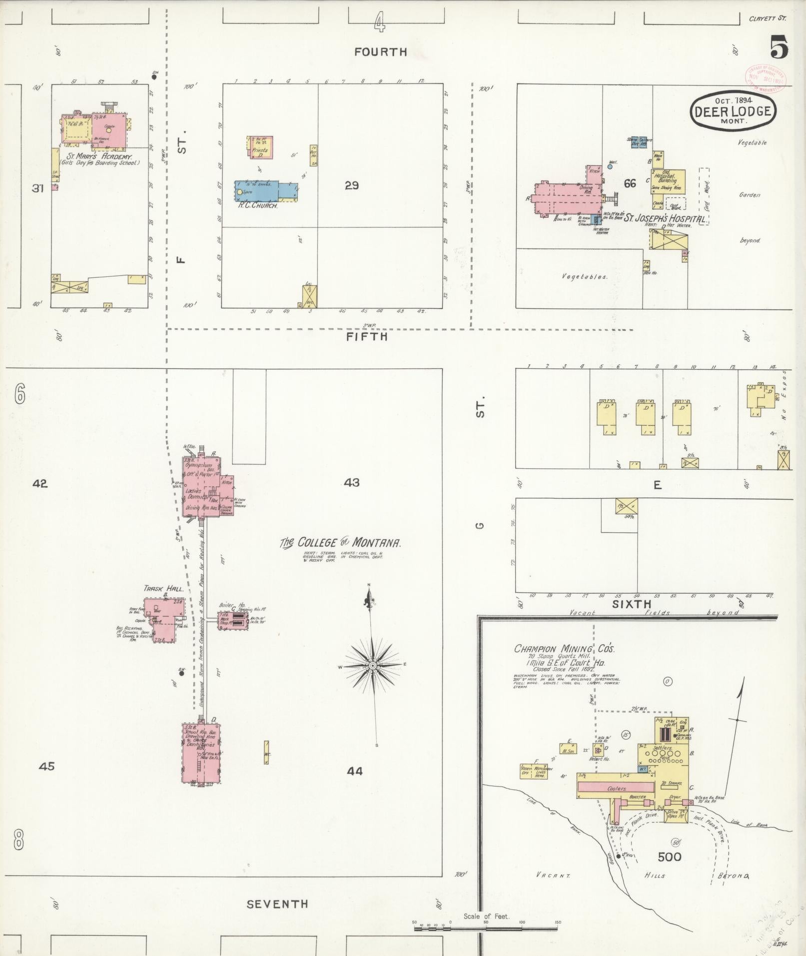 Sanborn Fire Insurance Map from Deer Lodge, Powell County, Montana (1894), Sheet #0005 - Historic Sanborn Fire Insurance Map Print, vintage old map wall art, antique decor, genealogy gift, Montana Montana map