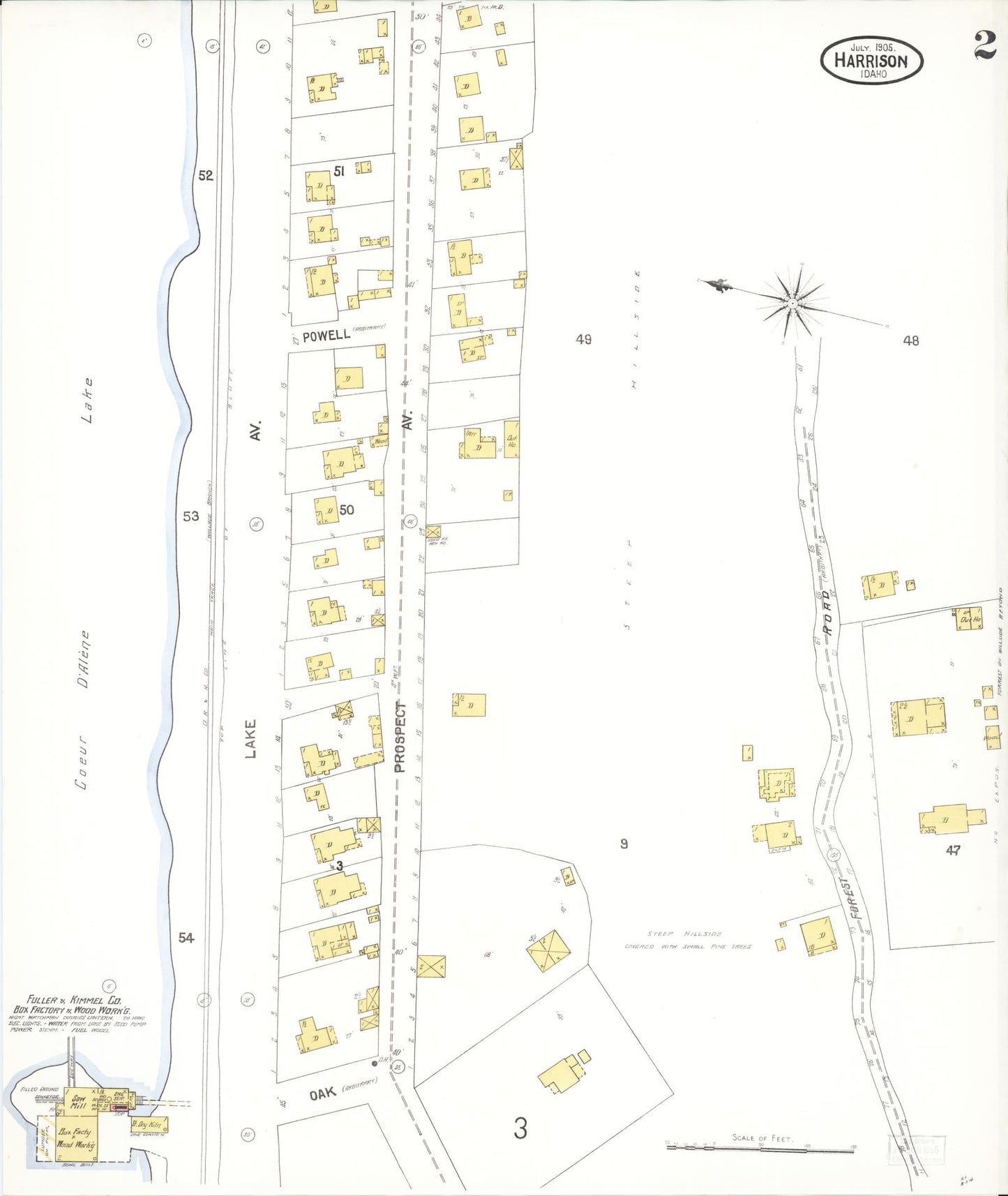 Sanborn Fire Insurance Map from Harrison, Kootenai County, Idaho (1905), Sheet #0002 - Historic Sanborn Fire Insurance Map Print, vintage old map wall art, antique decor, genealogy gift, Idaho Idaho map