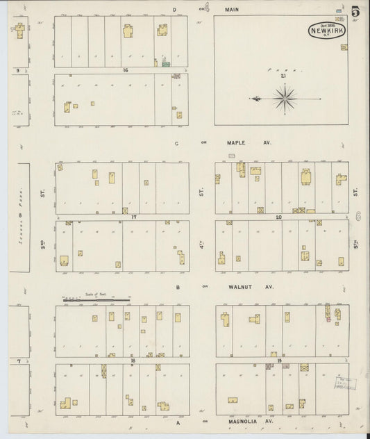 Sanborn Fire Insurance Map from Newkirk, Kay County, Oklahoma (1895), Sheet #0005 - Historic Sanborn Fire Insurance Map Print, vintage old map wall art, antique decor, genealogy gift, Oklahoma Oklahoma map