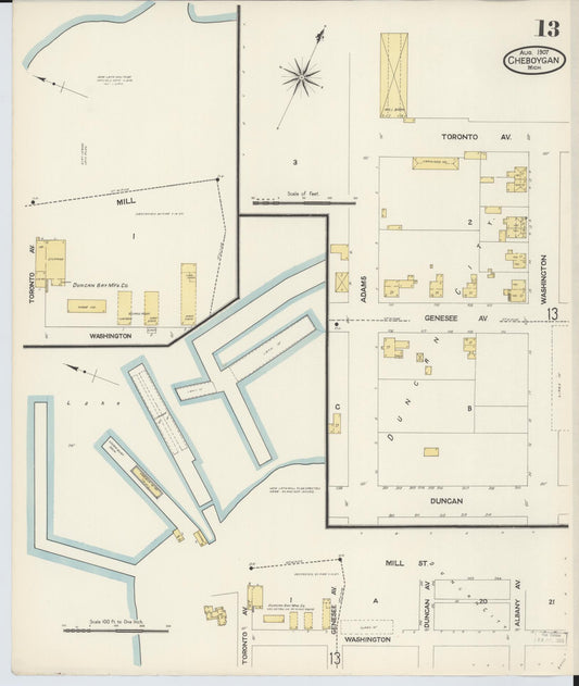 Sanborn Fire Insurance Map from Cheboygan, Cheboygan County, Michigan (1907), Sheet #0013 - Historic Sanborn Fire Insurance Map Print, vintage old map wall art, antique decor, genealogy gift, Michigan Michigan map