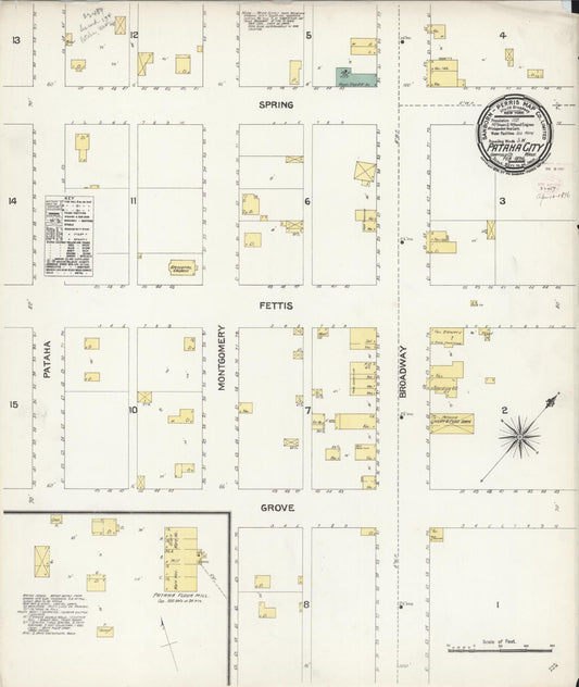 Sanborn Fire Insurance Map from Pataha City, Garfield County, Washington (1896), Sheet #0001 - Historic Sanborn Fire Insurance Map Print, vintage old map wall art, antique decor, genealogy gift, Washington Washington map