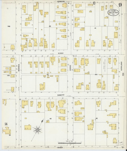 Sanborn Fire Insurance Map from Palatka, Putnam County, Florida (1903), Sheet #0009 - Historic Sanborn Fire Insurance Map Print, vintage old map wall art, antique decor, genealogy gift, Florida Florida map