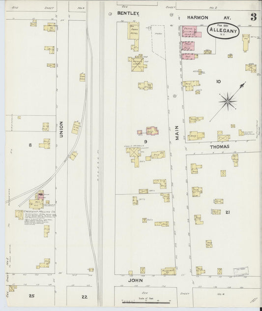 Sanborn Fire Insurance Map from Allegany, Cattaraugus County, New York (1891), Sheet #0003 - Historic Sanborn Fire Insurance Map Print, vintage old map wall art, antique decor, genealogy gift, New York New York map