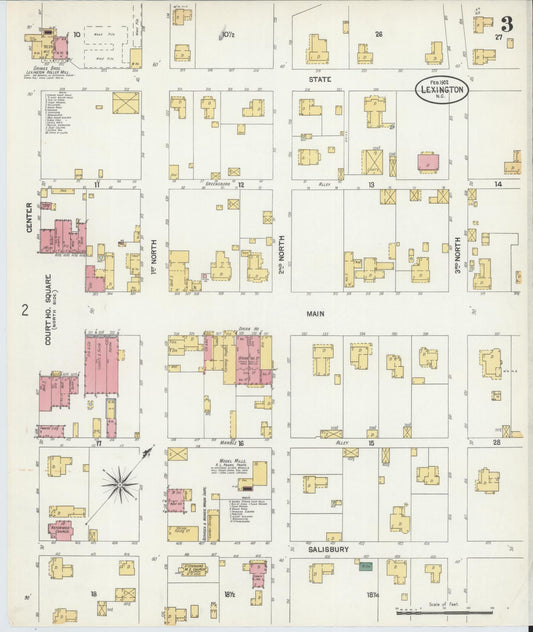 Sanborn Fire Insurance Map from Lexington, Davidson County, North Carolina (1902), Sheet #0003 - Historic Sanborn Fire Insurance Map Print, vintage old map wall art, antique decor, genealogy gift, North Carolina North Carolina map