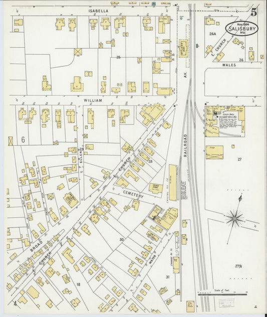 Sanborn Fire Insurance Map from Salisbury, Wicomico County, Maryland (1904), Sheet #0005 - Historic Sanborn Fire Insurance Map Print, vintage old map wall art