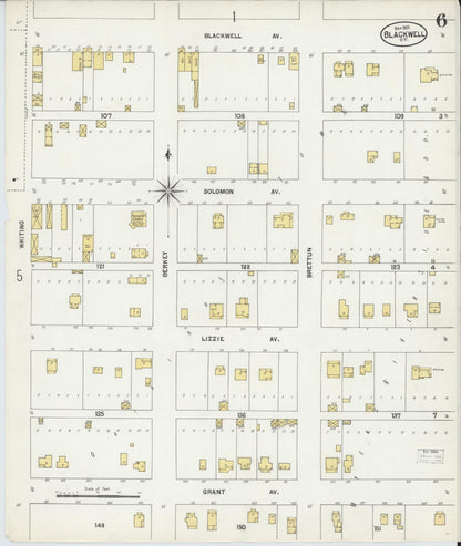 Sanborn Fire Insurance Map from Blackwell, Kay County, Oklahoma (1901), Sheet #0006 - Complete Map Set gallery image, historic Sanborn map, vintage wall art, Oklahoma Oklahoma