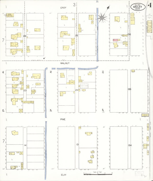 Sanborn Fire Insurance Map from Hailey, Blaine County, Idaho (1907), Sheet #0004 - Historic Sanborn Fire Insurance Map Print, vintage old map wall art, antique decor, genealogy gift, Idaho Idaho map