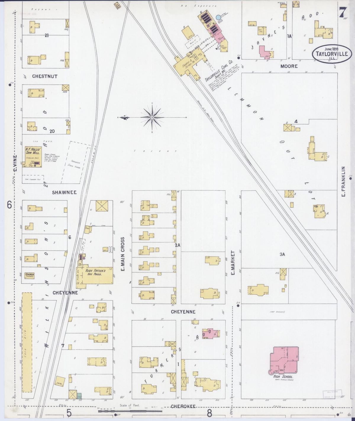 Sanborn Fire Insurance Map from Taylorville, Christian County, Illinois (1899), Sheet #0007 - Complete Map Set gallery image, historic Sanborn map, vintage wall art, Illinois Illinois