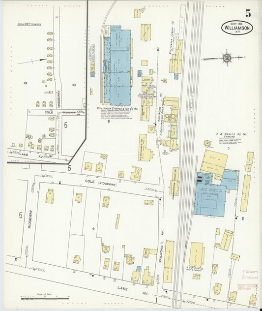Sanborn Fire Insurance Map from Williamson, Wayne County, New York (1914), Sheet #0005 - Historic Sanborn Fire Insurance Map Print, vintage old map wall art, antique decor, genealogy gift, New York New York map