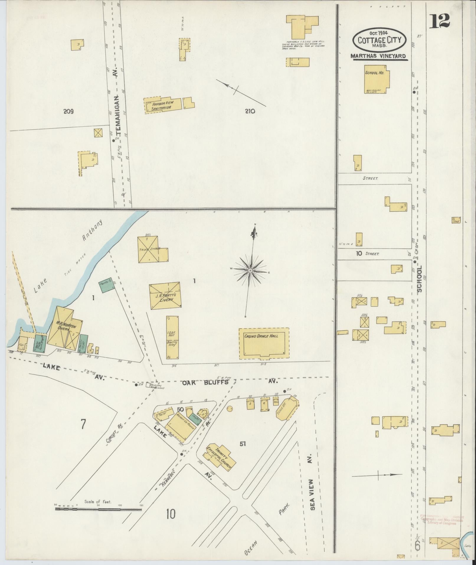 Sanborn Fire Insurance Map from Cottage City, Dukes County, Massachusetts (1904), Sheet #0012 - Historic Sanborn Fire Insurance Map Print, vintage old map wall art, antique decor, genealogy gift, Massachusetts Massachusetts map
