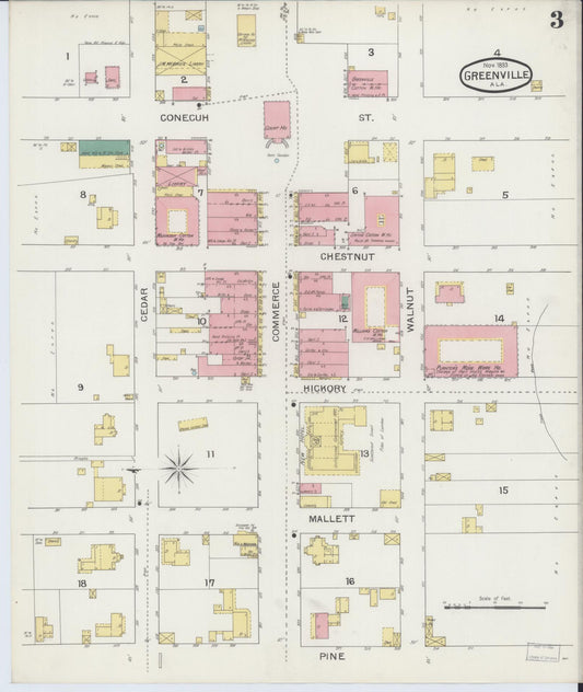 Sanborn Fire Insurance Map from Greenville, Butler County, Alabama (1893), Sheet #0003 - Historic Sanborn Fire Insurance Map Print, vintage old map wall art, antique decor, genealogy gift, Alabama Alabama map