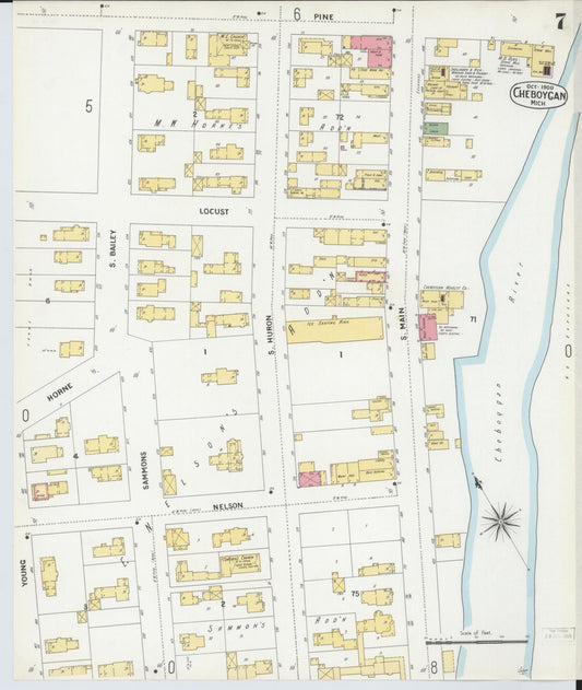 Sanborn Fire Insurance Map from Cheboygan, Cheboygan County, Michigan (1900), Sheet #0007 - Historic Sanborn Fire Insurance Map Print, vintage old map wall art, antique decor, genealogy gift, Michigan Michigan map