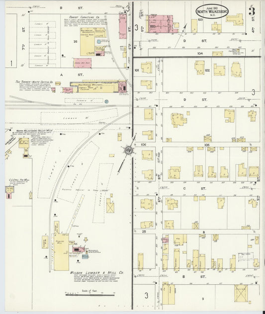Sanborn Fire Insurance Map from North Wilkesboro, Wilkes County, North Carolina (1910), Sheet #0003 - Historic Sanborn Fire Insurance Map Print, vintage old map wall art, antique decor, genealogy gift, North Carolina North Carolina map