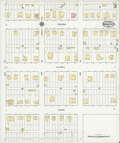 Sanborn Fire Insurance Map from Bridgeport, Wise County, Texas (1921), Sheet #0003 - Historic Sanborn Fire Insurance Map Print, vintage old map wall art, antique decor, genealogy gift, Texas Texas map