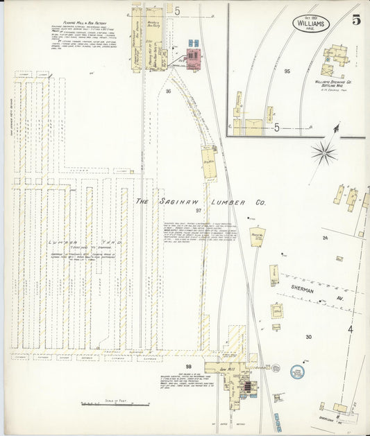 Sanborn Fire Insurance Map from Williams, Coconino County, Arizona (1901), Sheet #0005 - Historic Sanborn Fire Insurance Map Print, vintage old map wall art, antique decor, genealogy gift, Arizona Arizona map