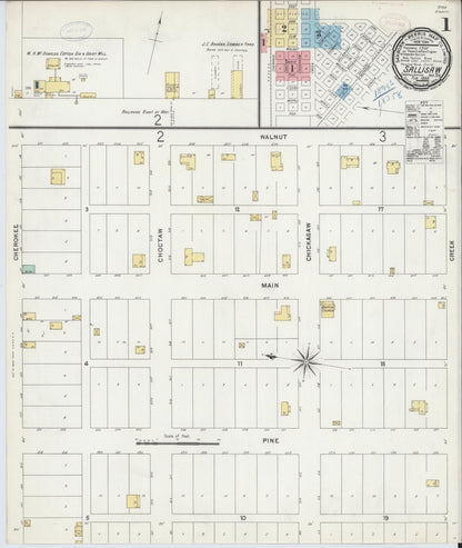 Sanborn Fire Insurance Map from Sallisaw, Sequoyah County, Oklahoma (1899), Sheet #0001 - Complete Map Set gallery image, historic Sanborn map, vintage wall art, Oklahoma Oklahoma