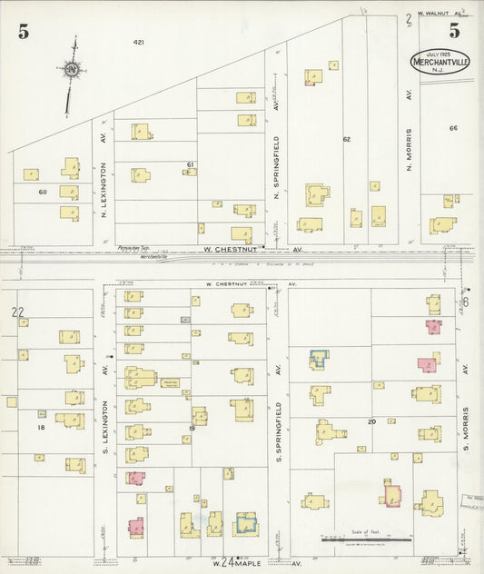 Sanborn Fire Insurance Map from Merchantville, Camden County, New Jersey (1925), Sheet #0005 - Historic Sanborn Fire Insurance Map Print, vintage old map wall art, antique decor, genealogy gift, New Jersey New Jersey map