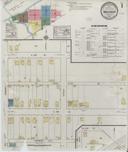 Sanborn Fire Insurance Map from Nescopeck, Luzerne County, Pennsylvania (1919), Sheet #0001 - Complete Map Set gallery image, historic Sanborn map, vintage wall art, Pennsylvania Pennsylvania