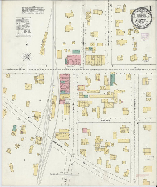 Sanborn Fire Insurance Map from Livonia, Livingston County, New York (1906), Sheet #0001 - Historic Sanborn Fire Insurance Map Print, vintage old map wall art, antique decor, genealogy gift, New York New York map