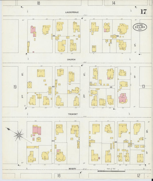 Sanborn Fire Insurance Map from Selma, Dallas County, Alabama (1903), Sheet #0017 - Historic Sanborn Fire Insurance Map Print, vintage old map wall art, antique decor, genealogy gift, Alabama Alabama map