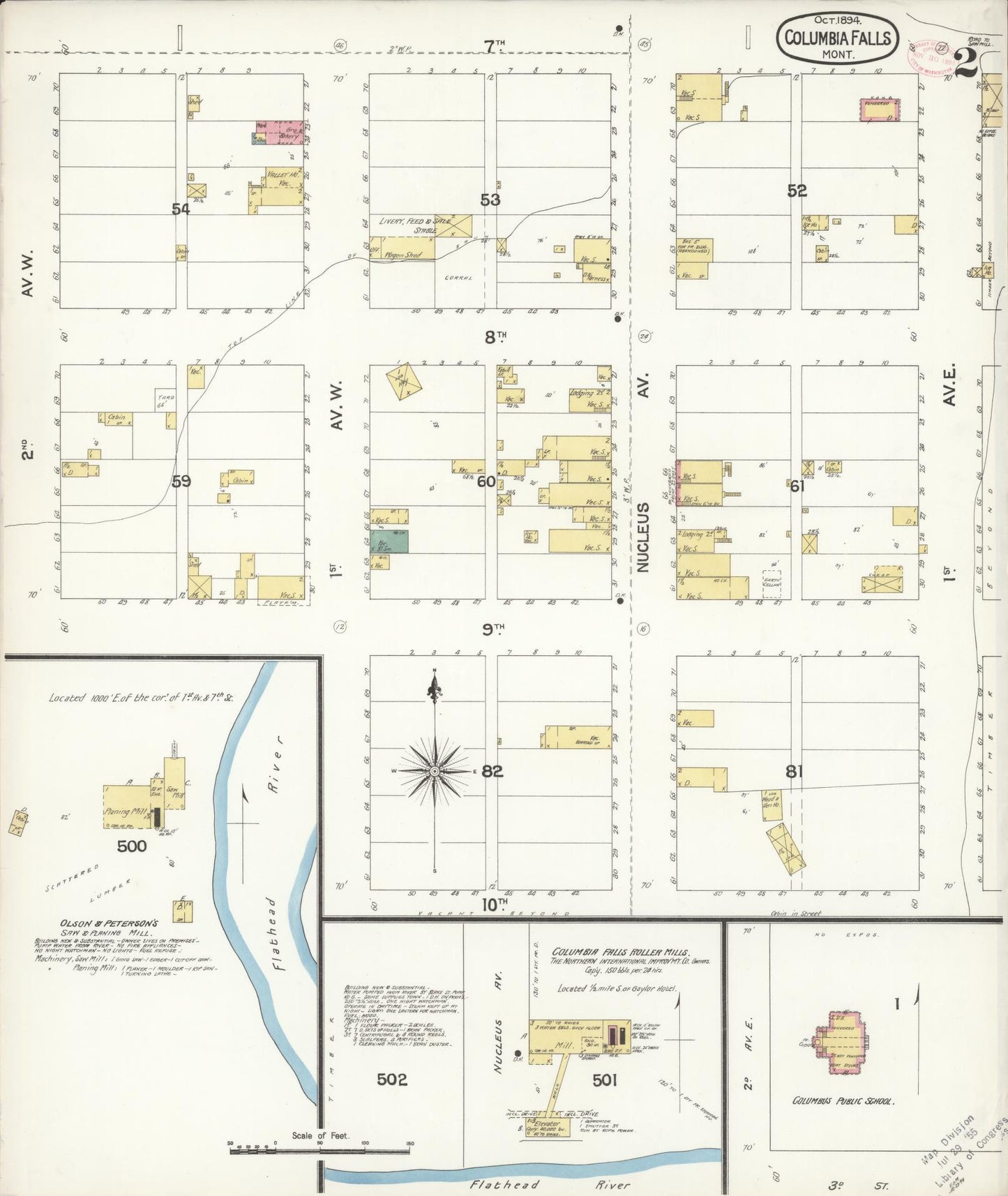 Sanborn Fire Insurance Map from Columbia Falls, Flathead County, Montana (1894), Sheet #0002 - Historic Sanborn Fire Insurance Map Print, vintage old map wall art, antique decor, genealogy gift, Montana Montana map