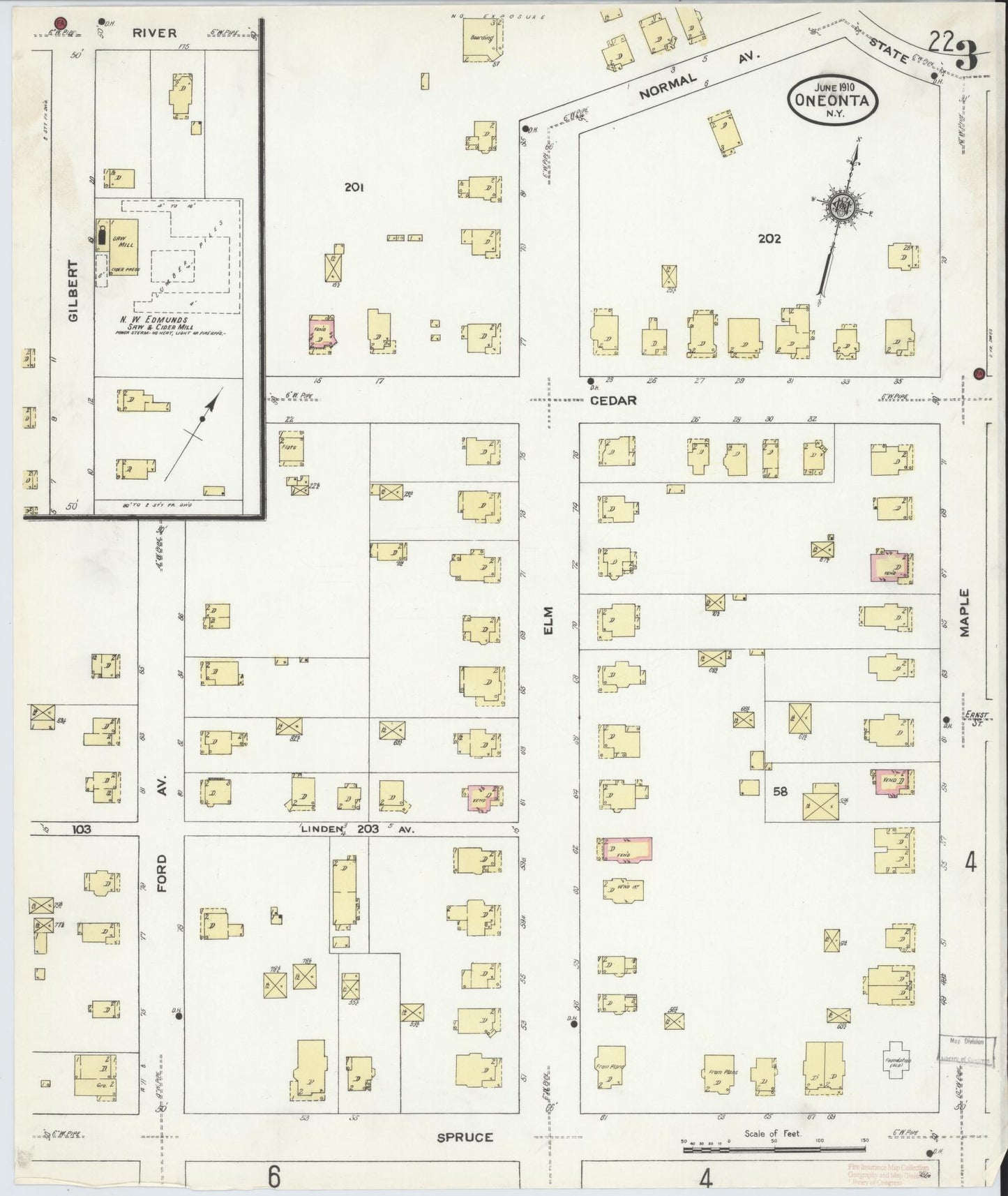Sanborn Fire Insurance Map from Oneonta, Otsego County, New York (1910), Sheet #0003 - Historic Sanborn Fire Insurance Map Print, vintage old map wall art, antique decor, genealogy gift, New York New York map