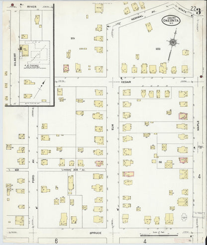 Sanborn Fire Insurance Map from Oneonta, Otsego County, New York (1910), Sheet #0003 - Historic Sanborn Fire Insurance Map Print, vintage old map wall art, antique decor, genealogy gift, New York New York map